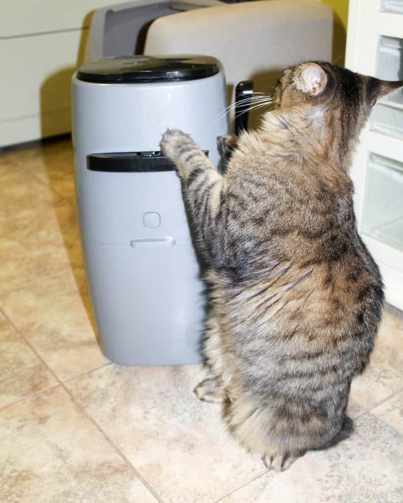 3 Steps to Sealing Away Stinky Cat Litter Odors with Litter Genie